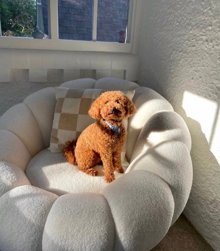 Искусственный мех в дизайне мебели